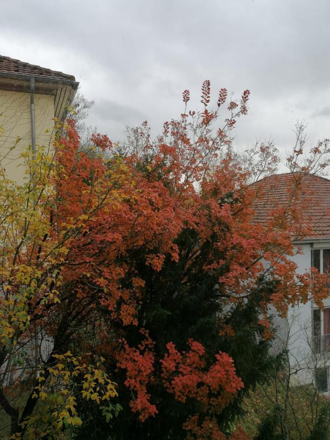 Gaestehaus Goethe-Institut 슈바비슈할 외부 사진